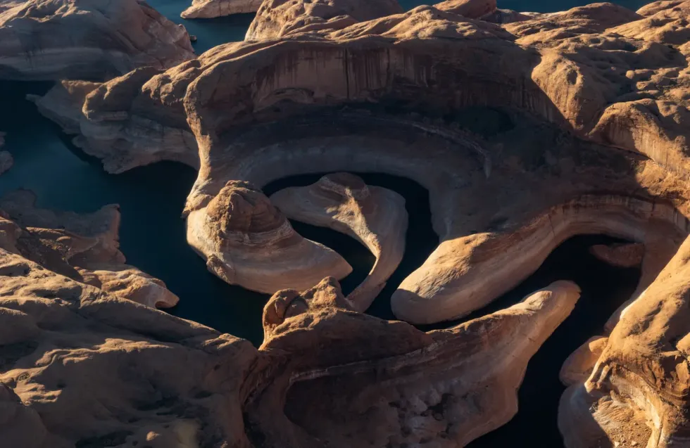 Header Image