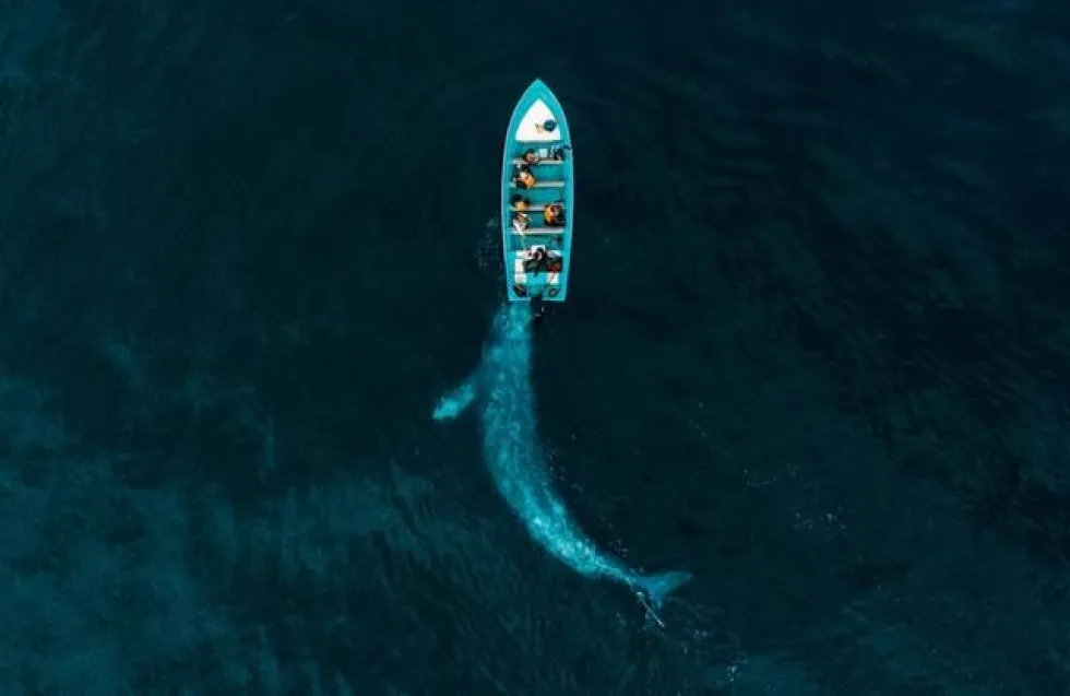 Έκθεση με τα βραβεία Drone Photo Awards 2020