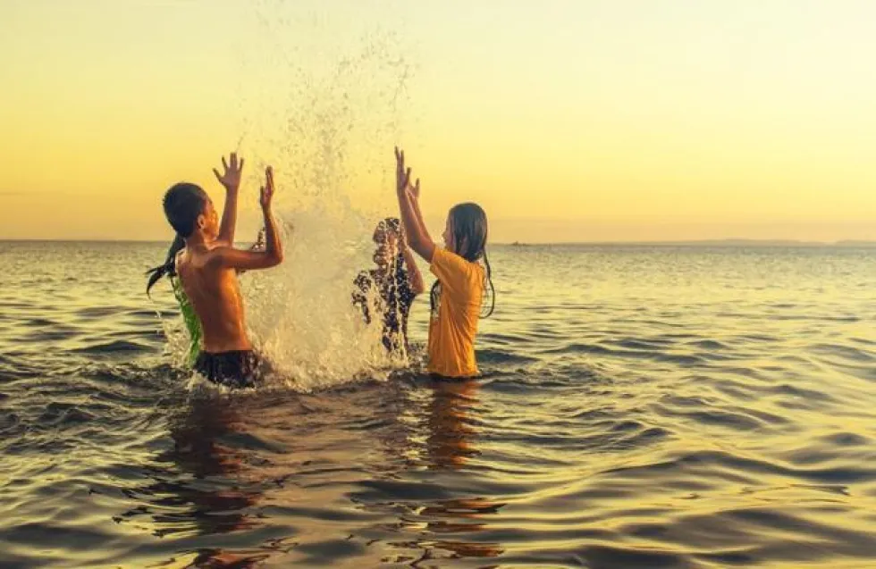 Header Image