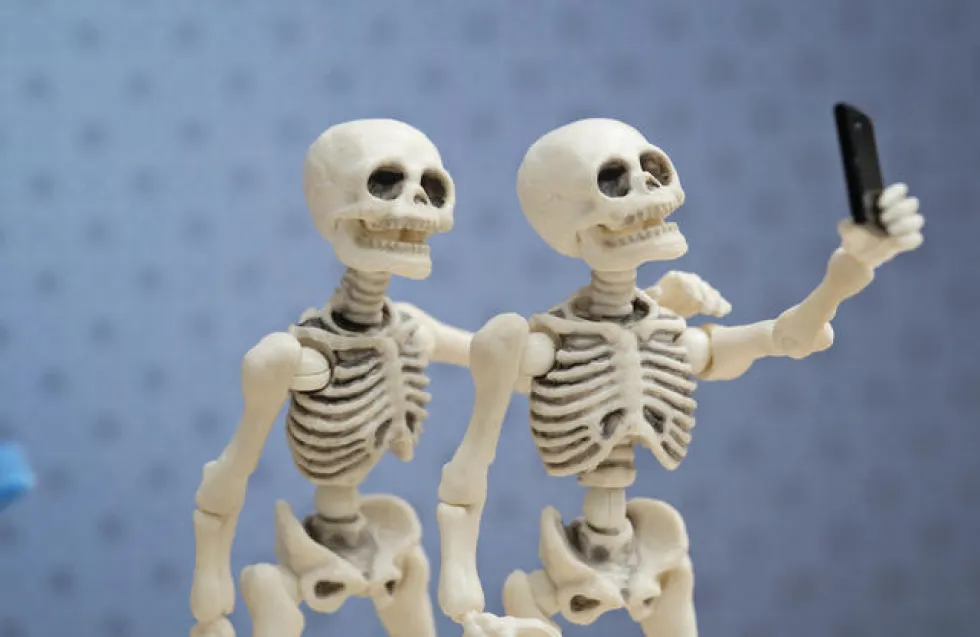 Header Image