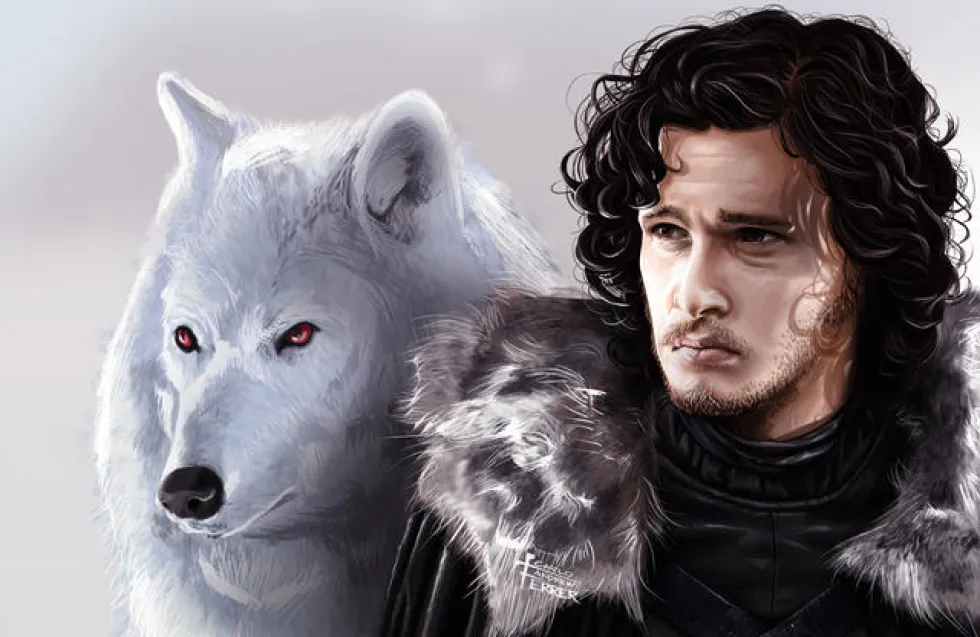Header Image