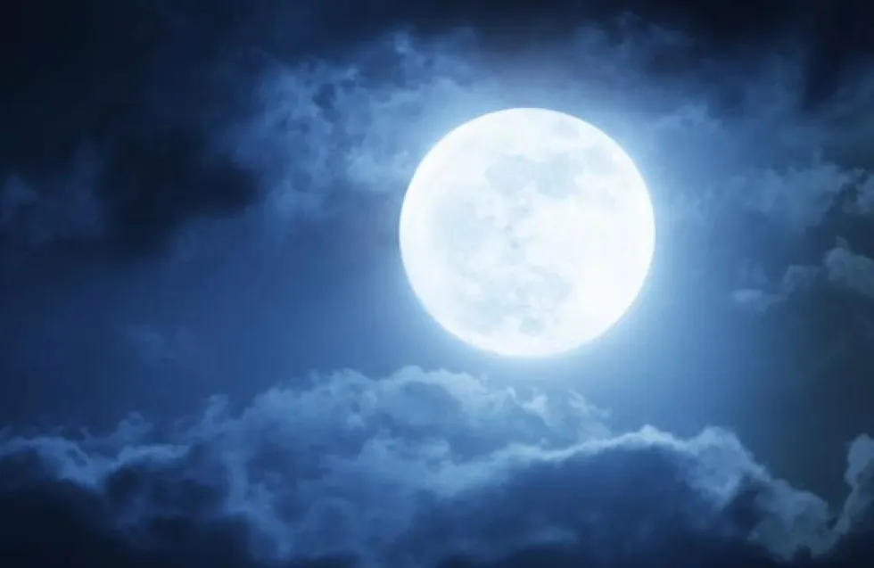 Header Image