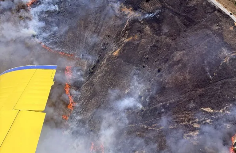 Article Thumbnail