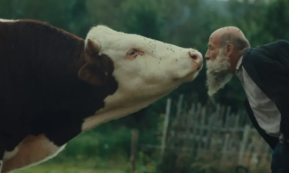 Στο ντοκιμαντέρ «Better Go Mad in the Wild» το κορυφαίο βραβείο στο Κάρλοβι Βάρι