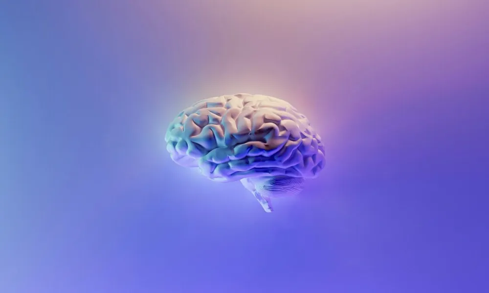 Header Image