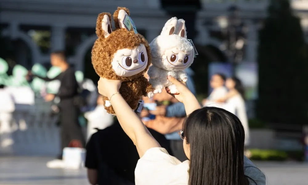 Header Image