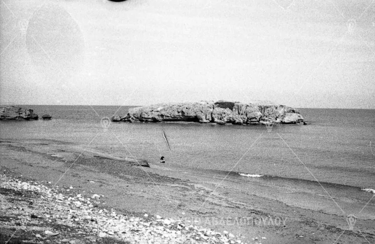 Category image