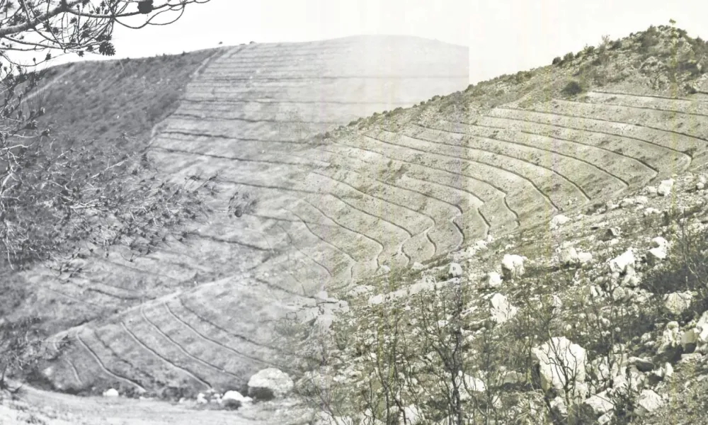Header Image