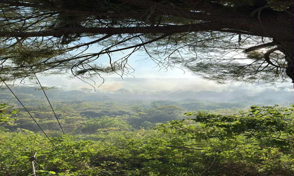 Header Image