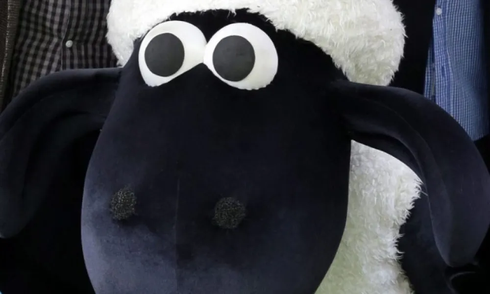 Header Image