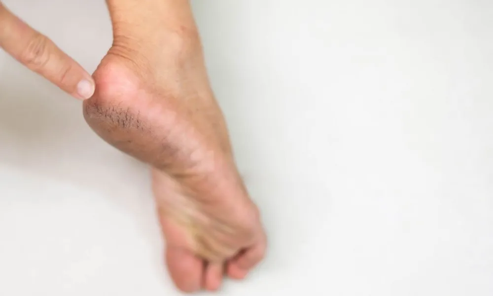 Header Image