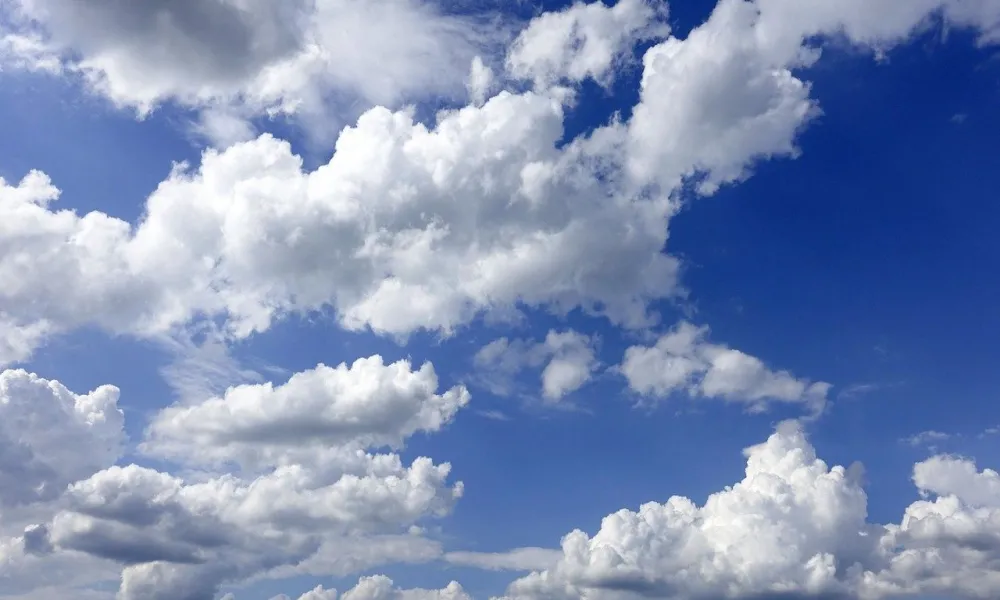 Header Image