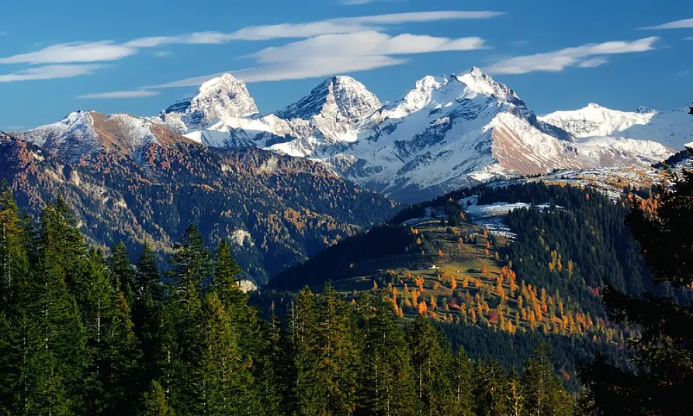 Header Image