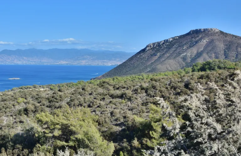 Κατασκήνωση εντός κρατικών δασών – Αυστηρές ποινές για τους παραβάτες