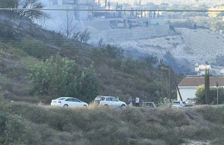 Υπό έλεγχο η φωτιά στην Τάλα που κατέκαψε 3 δεκάρια από ξηρά χόρτα