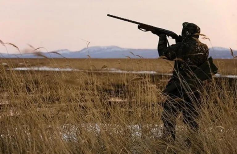 Na Cipru se začenja lovna sezona z obvezno registracijo ulova