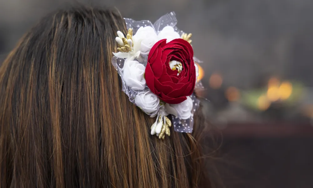 Header Image