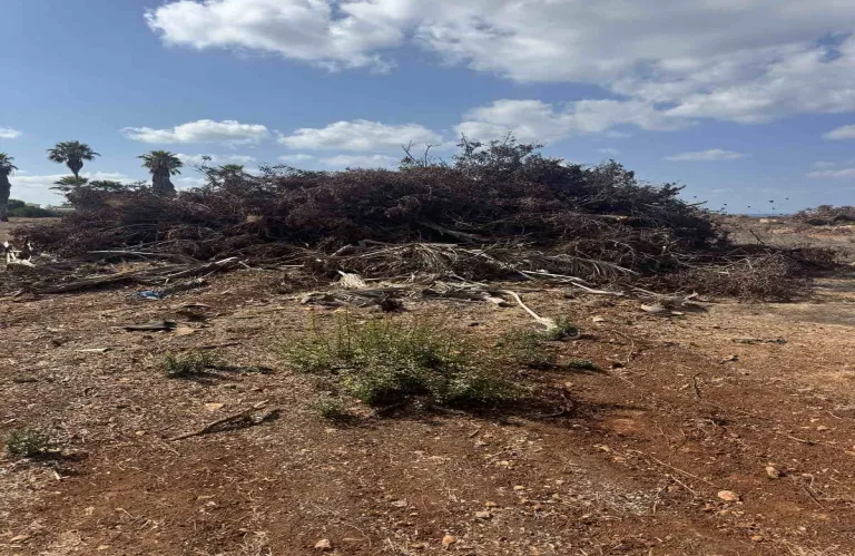 Νομικά μέτρα κατά ιδιοκτήτη τεμαχίου για επιχωματώσεις κοντά στις θαλασσινές σπηλιές, λέει o Διευθυντής του Τμ. Περιβάλλοντος