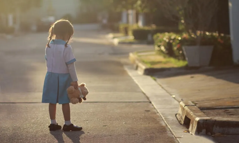 Header Image