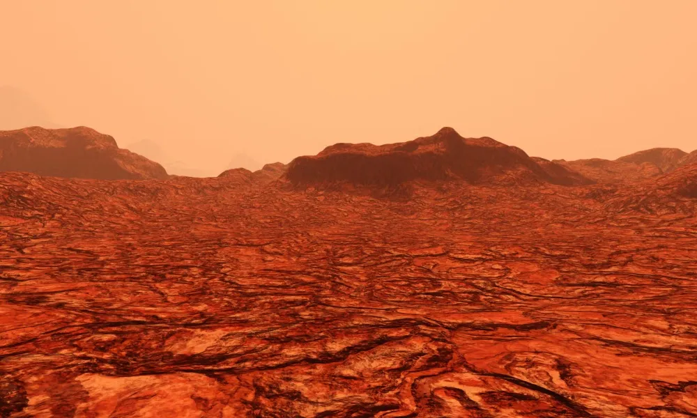 Header Image