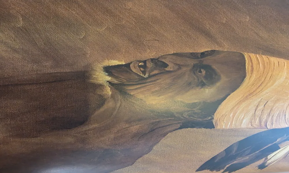Header Image