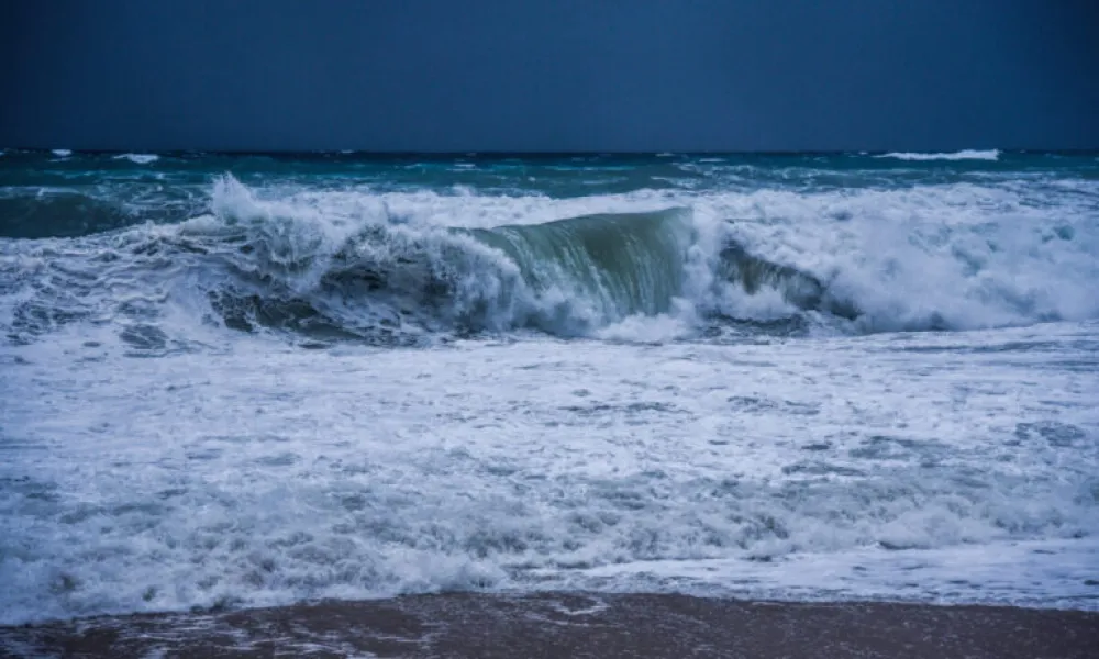 Header Image