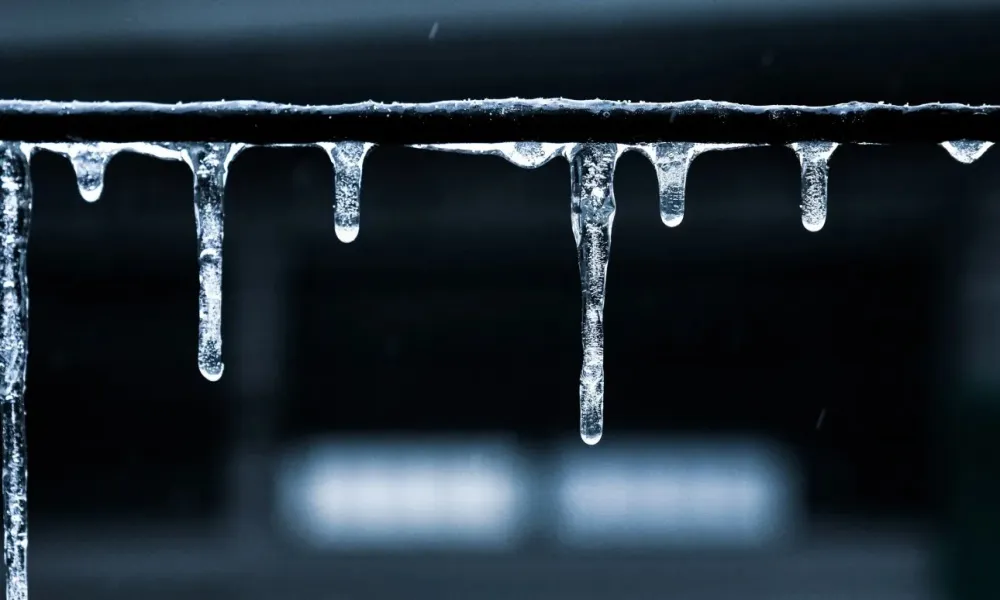 Header Image