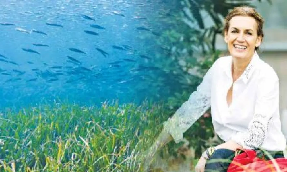 Header Image