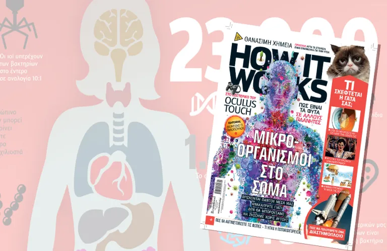 Article Thumbnail