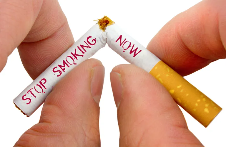 equilibrium moisture content in cigarette tobacco How Humidity Affects Cigars: Dry vs Moist Guide
