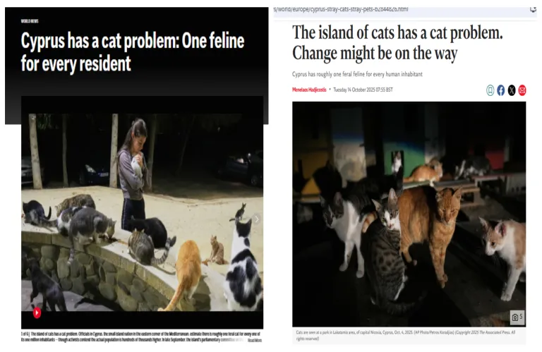 Article Thumbnail