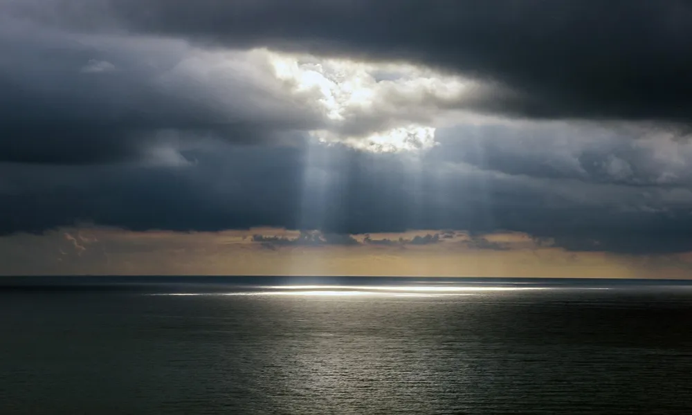 Header Image