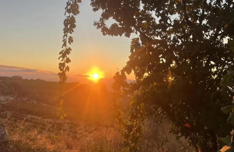 Με φωτογράφηση στους δρόμους της Πάφου ο 11ος Φωτομαραθώνιος Κύπρου