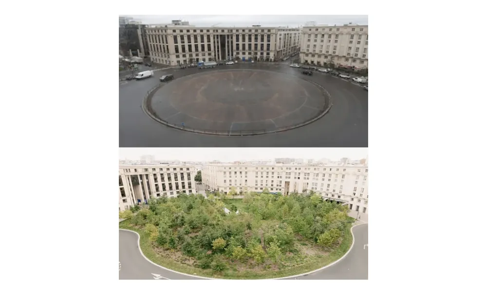 Post thumbnail or placeholder