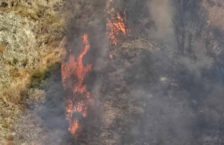 Υπό έλεγχο φωτιά στην Τραχυπέδουλα που κατέκαψε 1- ½ εκτάριο από άγρια βλάστηση και αριθμό δέντρων
