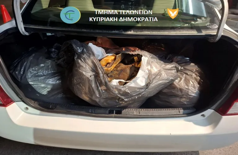 Υγειονομική βόμβα: Άντρας έφερε από τα κατεχόμενα 200 κιλά κόκκαλα και δέρματα ζώων (εικονες)