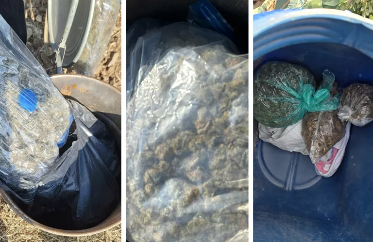 Φύλαγε ναρκωτικά σε χωράφι στη Λάρνακα - Συντονισμένη επιχείρηση της ΥΚΑΝ βρήκε τα ίχνη της δράσης 42χρονου (φώτος)