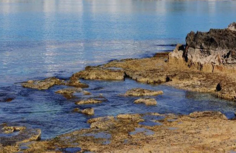 Περαστικοί βρήκαν νεκρό άνδρα σε βράχια κοντά στο λιμανάκι της Αγίας Νάπας