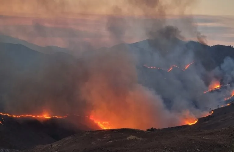 Υπό πλήρη έλεγχο δασική πυρκαγιά σε περιοχή της κοινότητας Φύτης