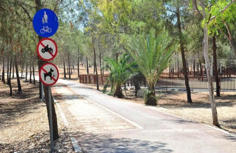 Πολιτική θύελλα για τον δρόμο μέσα στο Πάρκο Αθαλάσσας - «Αδιανόητο το 2025 να κόβουμε δάση για άσφαλτο»