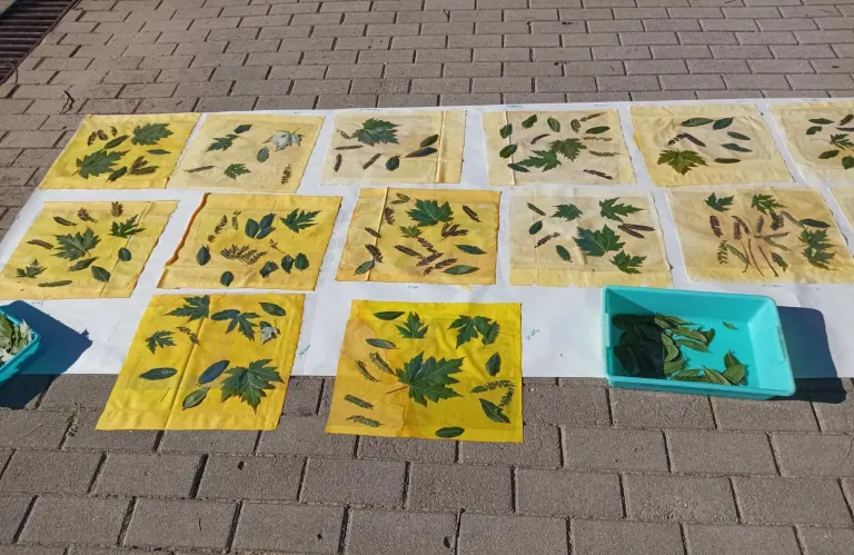 Το SEEDS καλλιεργεί την οικολογική συνείδηση στα σχολεία της Κύπρου και της Ισπανίας