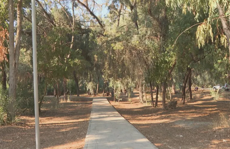 Απειλείται ο τελευταίος πνεύμονας πρασίνου - Η Πολεοδομία θέλει 700 χιλιάδες για δρόμο που θα περνά από το πάρκο Ακαδημίας!