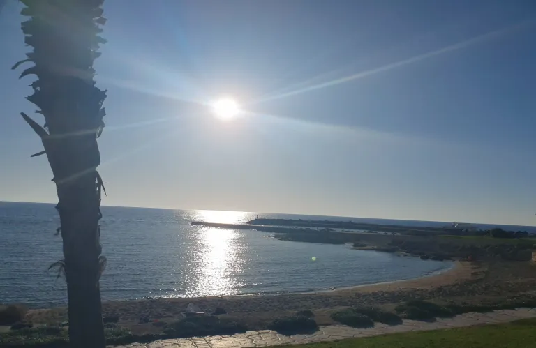 CCIF Cy: Τριανταπέντε νέοι στην Πάφο από ευρωπαϊκές χώρες στο πλαίσιο του  προγράμματος Erasmus