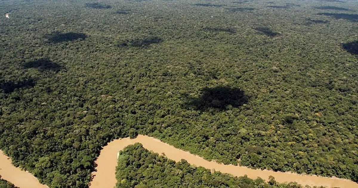 Four French Banks Accused of Funding Amazon Deforestation