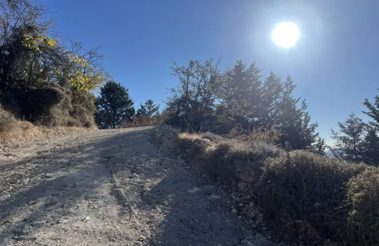 Υπό πλήρη έλεγχο δασική πυρκαγιά εντός των διοικητικών ορίων της κοινότητας Τάλα