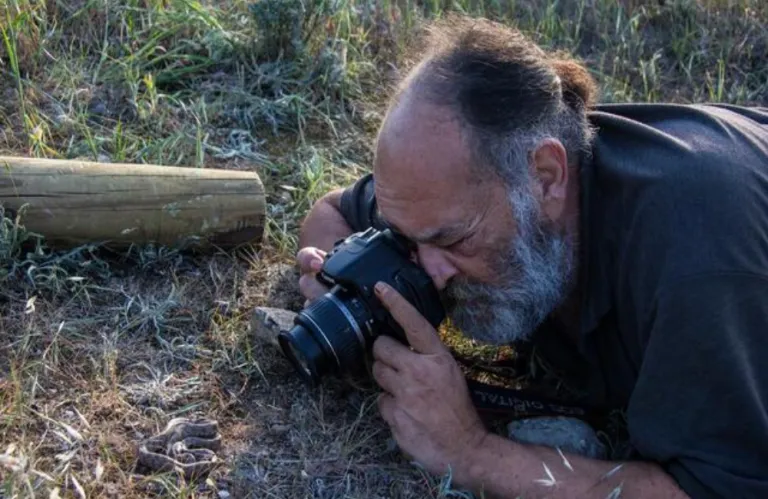 Τα απολιθώματα και τα ερπετά της Κύπρου