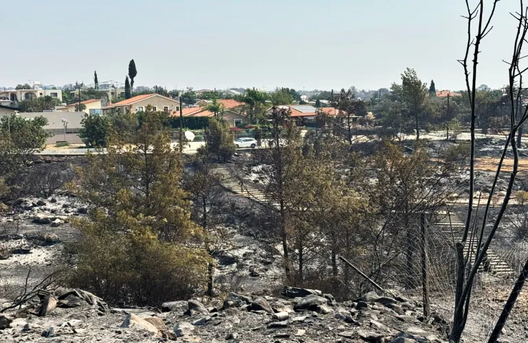 Σε εξέλιξη η φωτιά στο Στρουμπί – Κοίλη αναζωπύρωση δυτικά