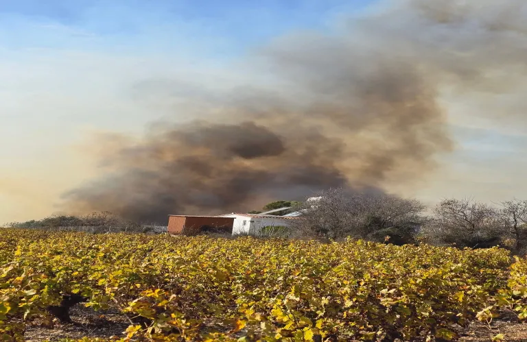 Υπό έλεγχο η φωτιά στα όρια της κοινότητας Δρούσιας της επαρχίας Πάφου