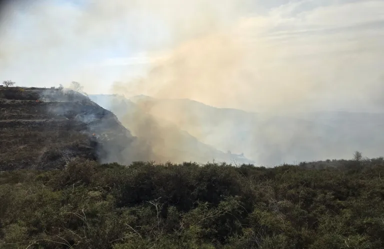 Υπό έλεγχο δασική πυρκαγιά στα όρια της όρια της κοινότητας Δρούσειας της επαρχίας Πάφου