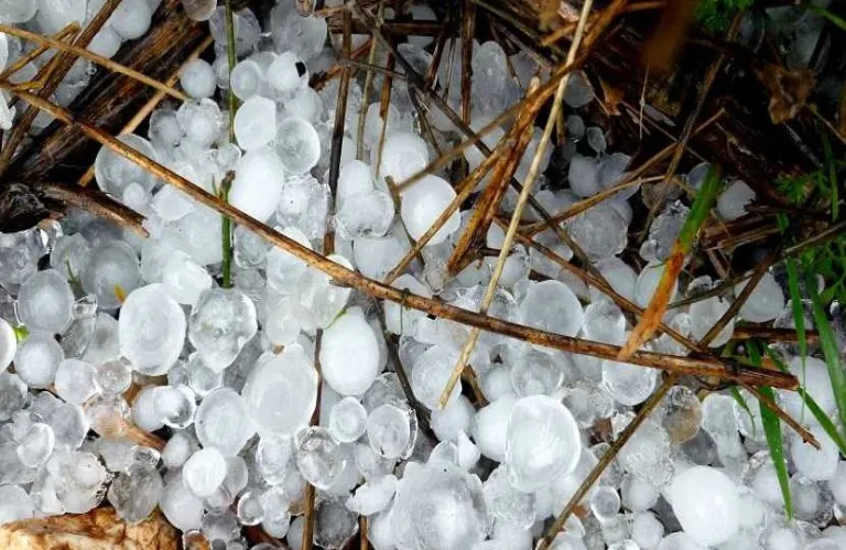 Αιτήσεις αποζημίωσης για ζημιές από χαλάζι σε Λάρνακα και Αμμόχωστο – Ανακοινώσεις και προθεσμίες του Τμήματος Γεωργίας